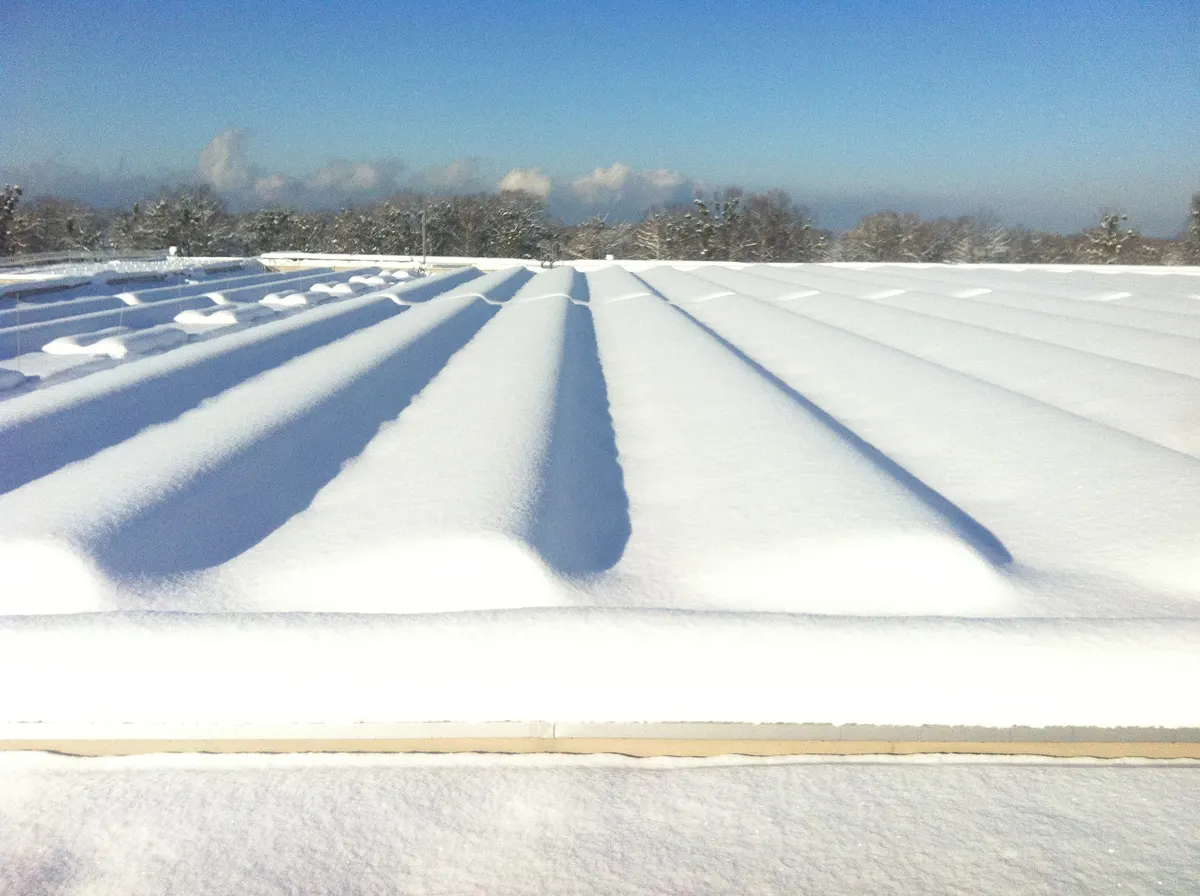 Rows of solar modules on a flat roof buried under a thick, even layer of fresh snow, with frosted trees and blue sky behind